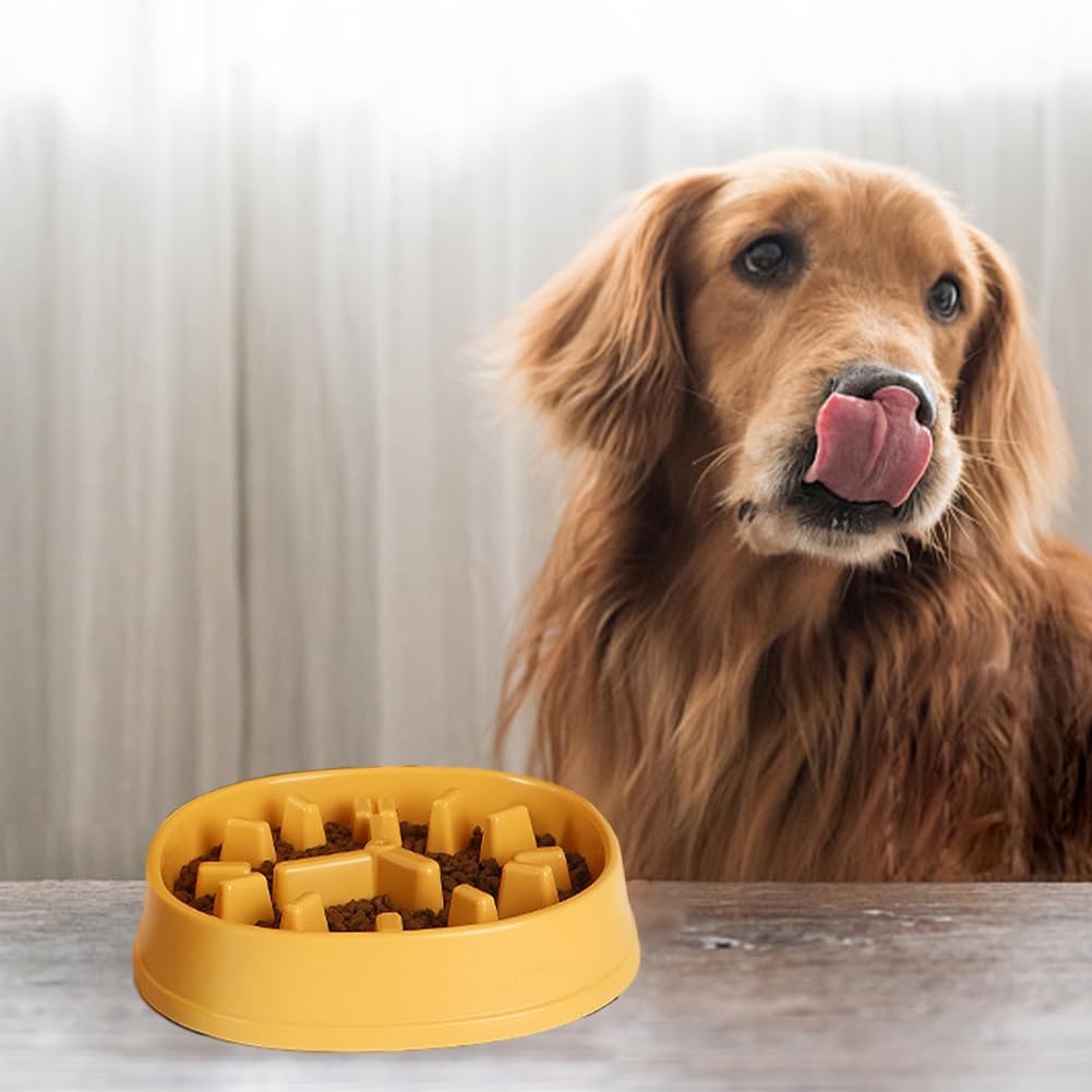 Slow Feeder Dog Bowl