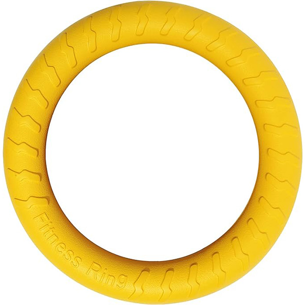 Dog Fitness Ring