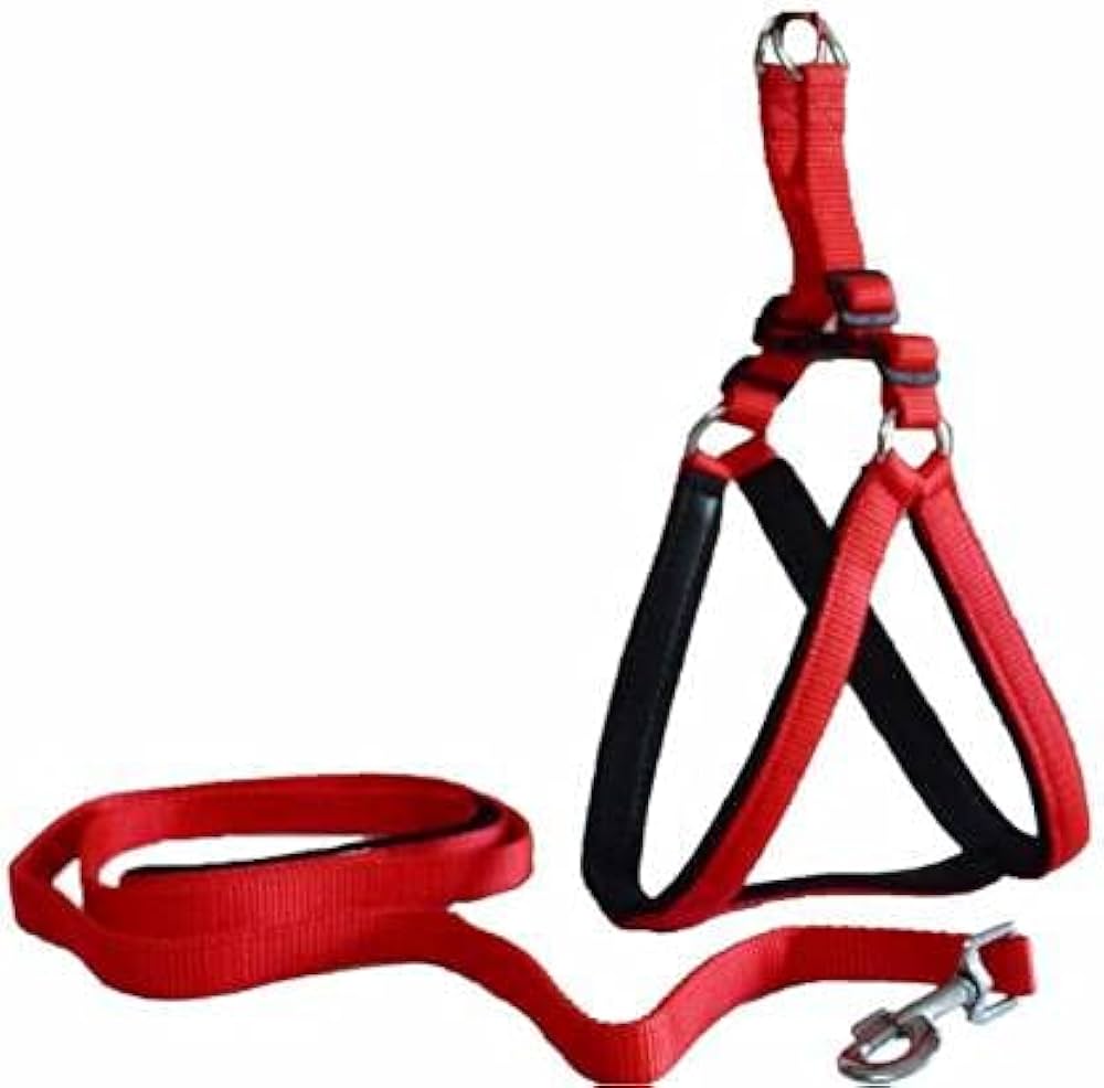 DYS Pets Combo of 1 Inch Adjustable Soft Padded Nylon Dog Harness & Dog Leash Rope