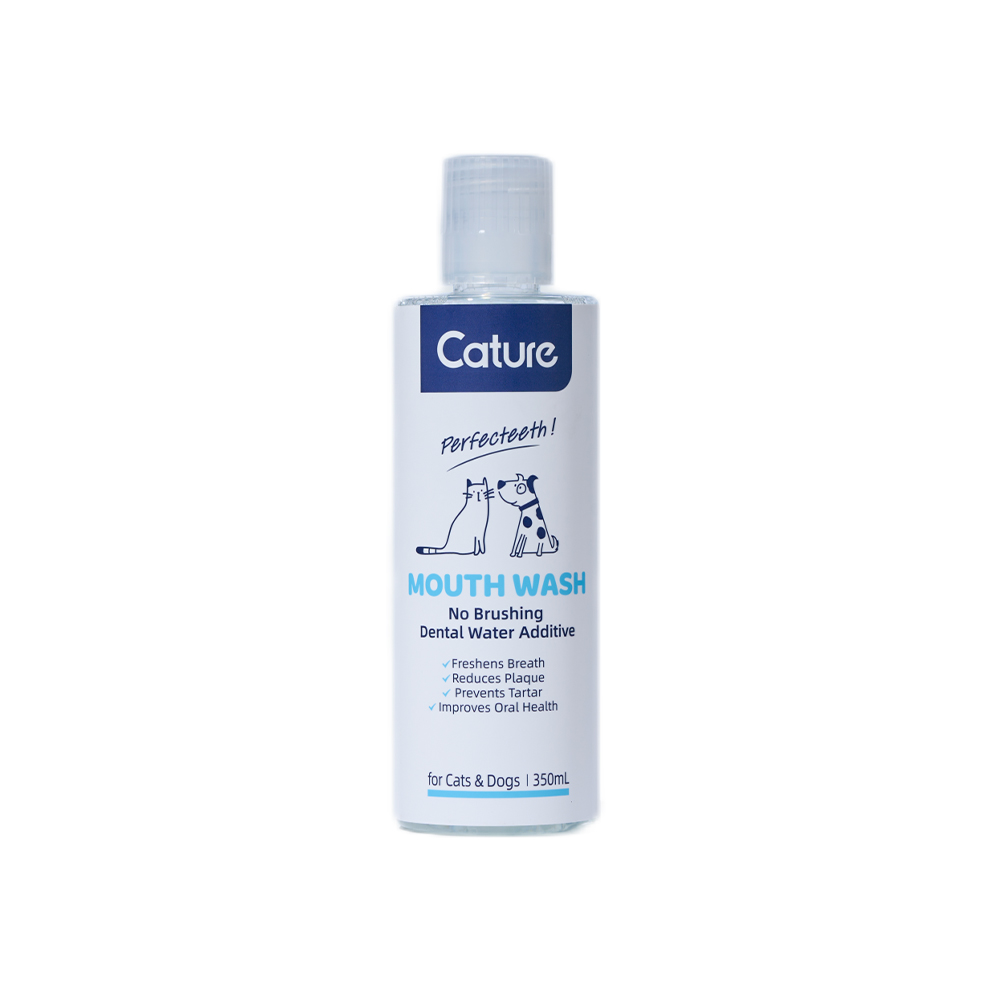 Cature Mouth Wash 350 ML