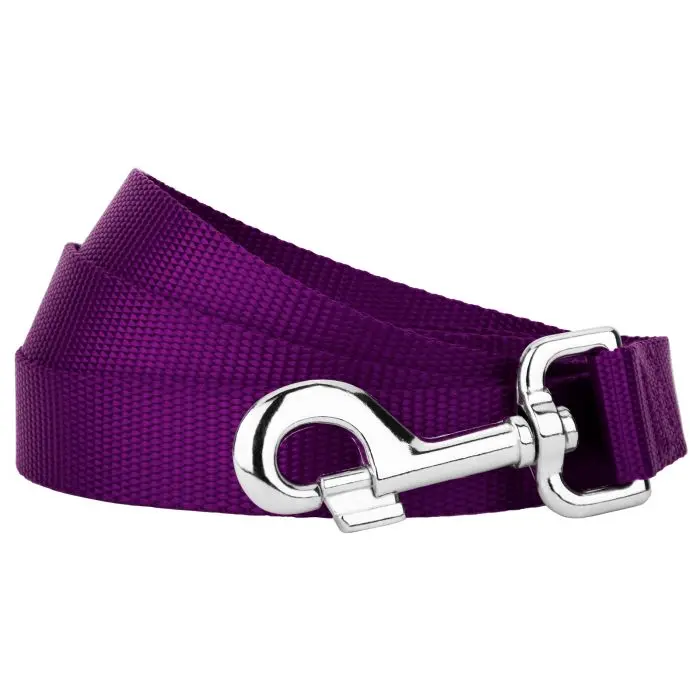 NYLON LEASH 1.5CM X 120CM