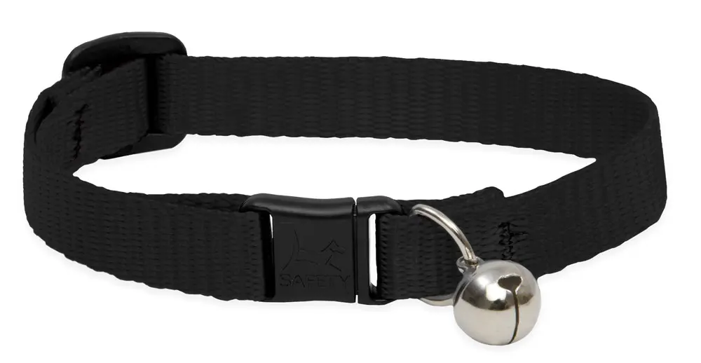 PLAIN NYLON COLLAR FOR CATS & PUPPIES WITH BELL