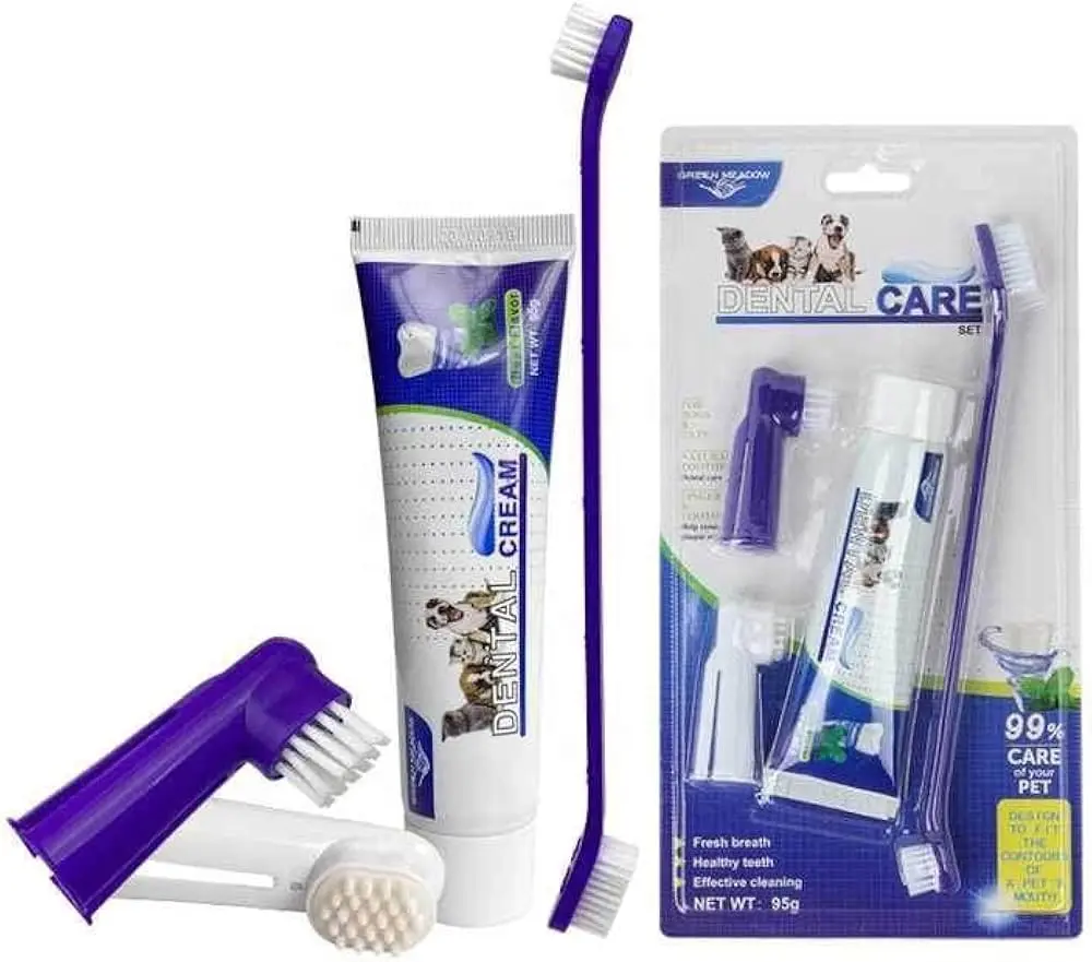 GREEN MEADOW DENTAL CARE SET (93314)