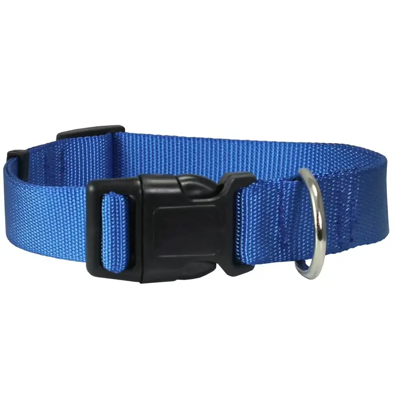 NYLON DOG COLLAR QUICK RELEASE BUCKLE