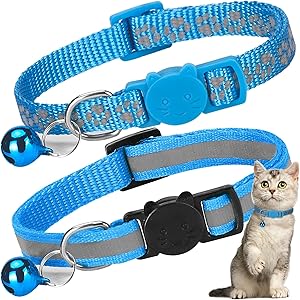 Cat Buckle Collar