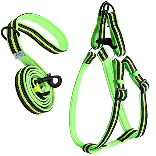 Zichen Adjustable Padded Reflective Dog Harness and Leash