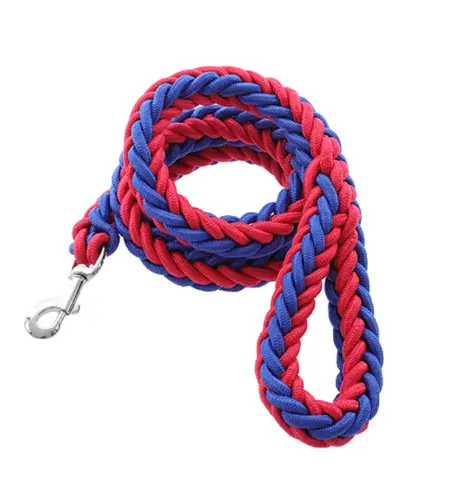 STURDY 22MM NYLON LEASH 120CM