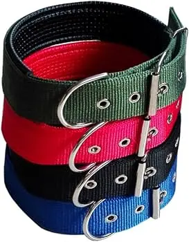 CLASSIC FOAM COLLAR WITH IRON BUCKLE