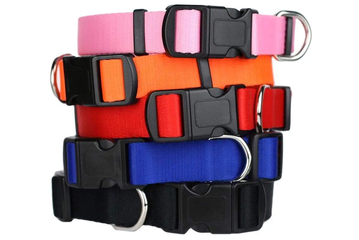 NYLON DOG COLLAR QUICK RELEASE BUCKLE