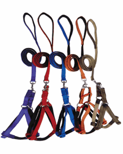 Harness & leash for small dogs
