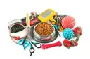 Pet Accessories
